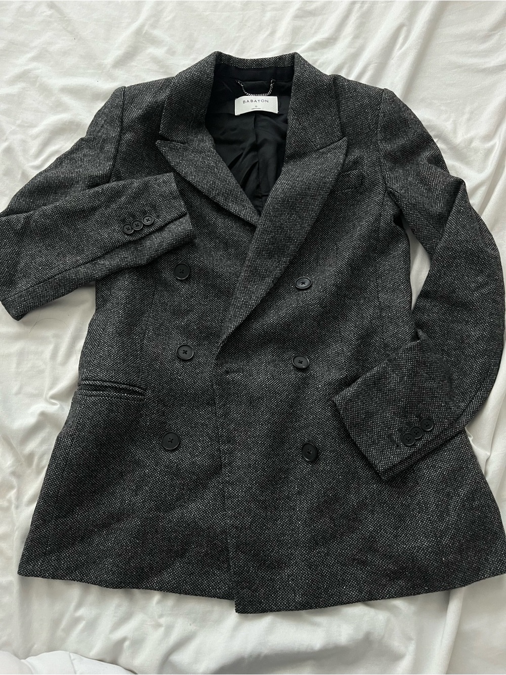Aritzia Babaton blazer